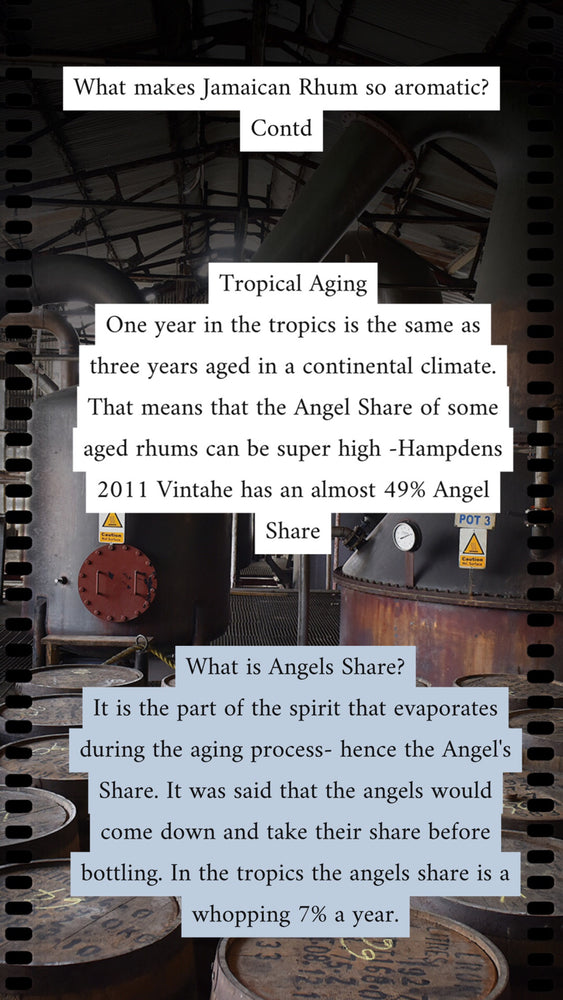 Angels Share (Original Jamaican Edition)