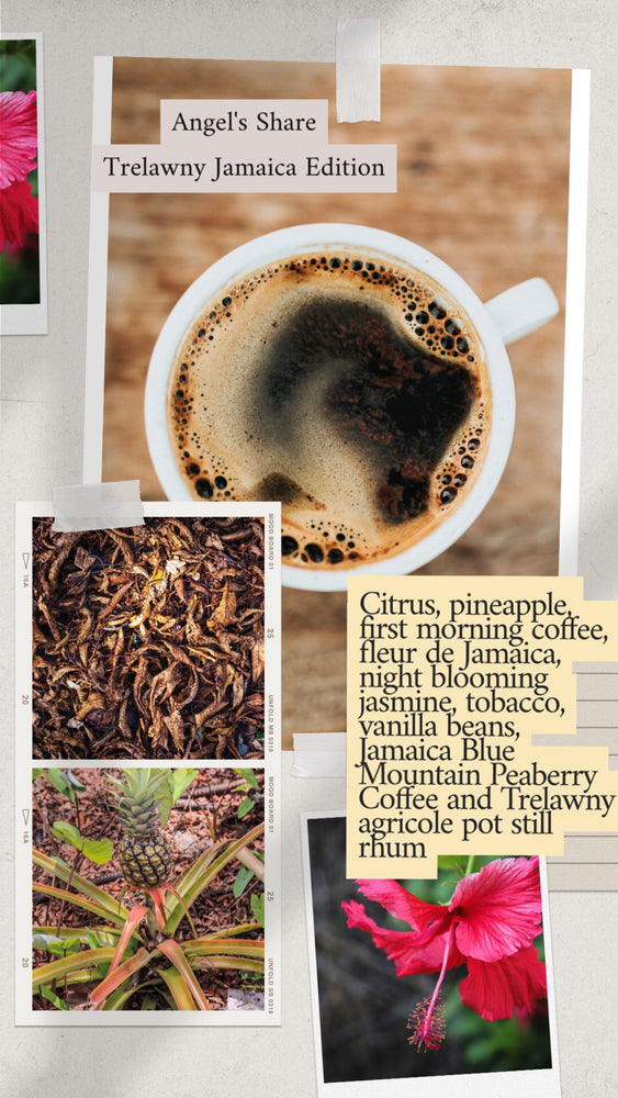 Angels Share (Original Jamaican Edition)