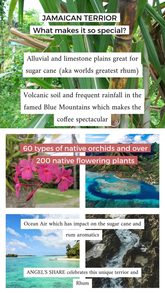 Angels Share (Original Jamaican Edition)