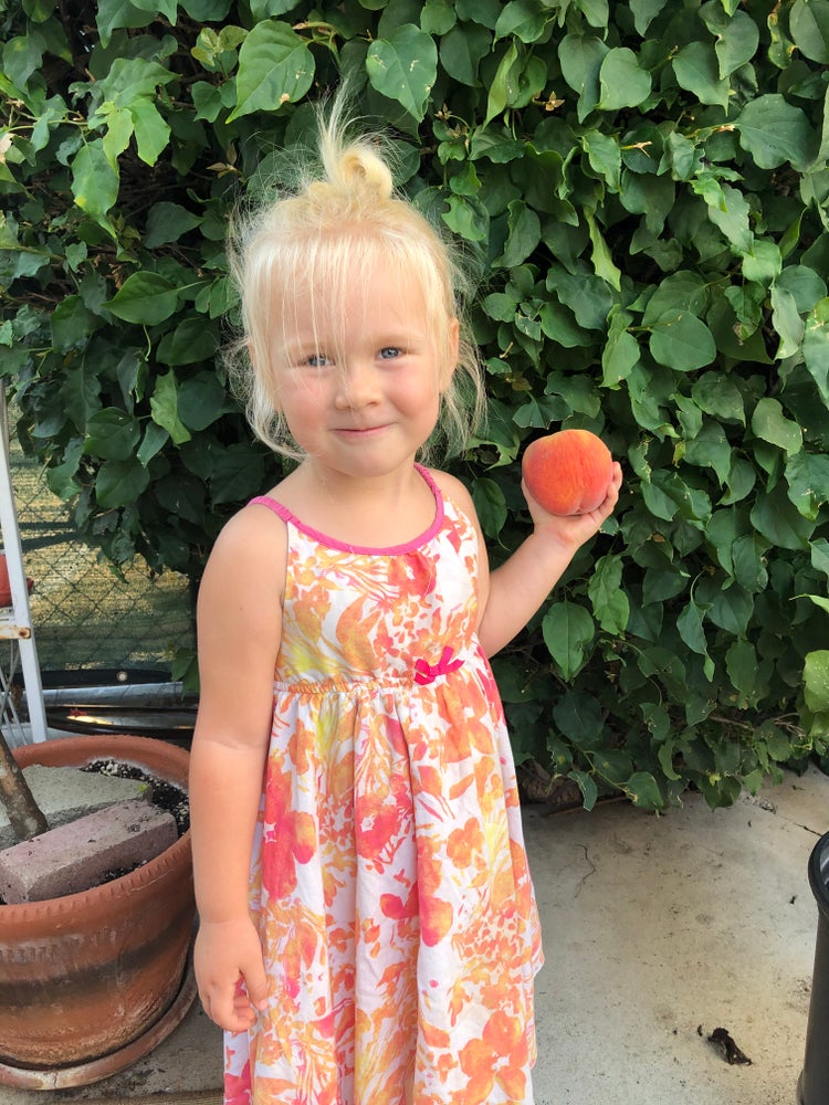 Tres Peaches