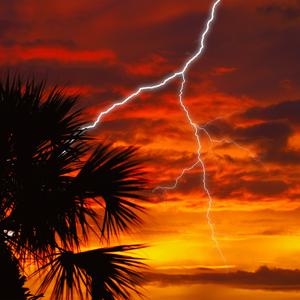 Lightning In A Bottle 2026